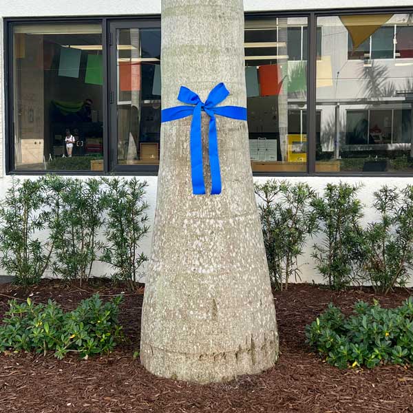 Blue Ribbons for Israel – Posnack School